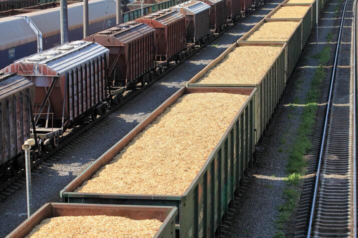 Рост спроса в Китае на агропродукцию из России